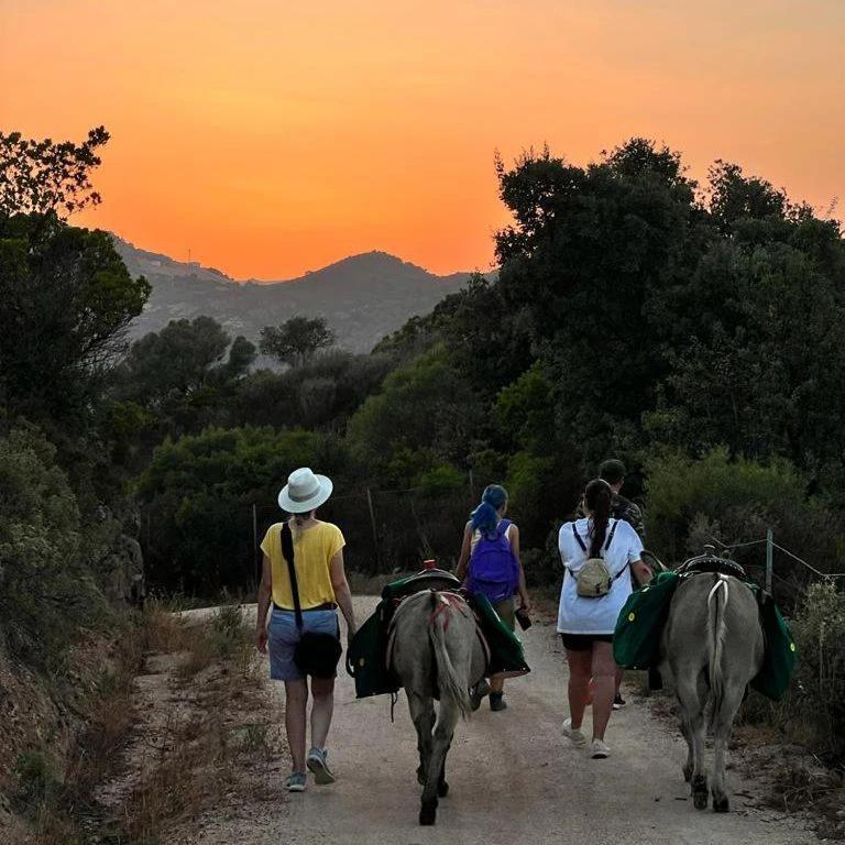 Agriturismo La Casa Delle Fate Loiri Porto San Paolo Εξωτερικό φωτογραφία