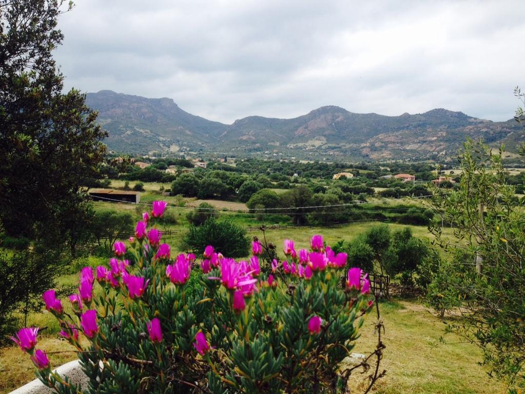 Agriturismo La Casa Delle Fate Loiri Porto San Paolo Εξωτερικό φωτογραφία