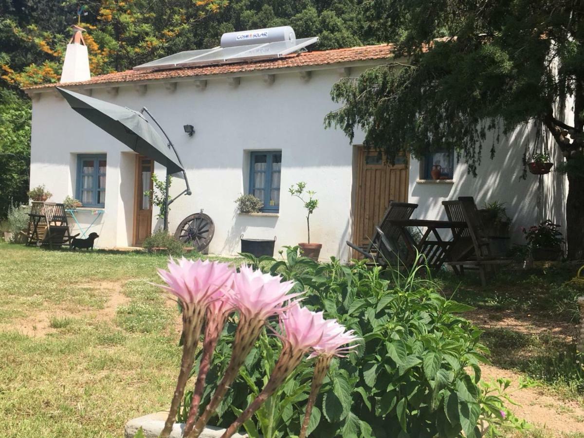Agriturismo La Casa Delle Fate Loiri Porto San Paolo Εξωτερικό φωτογραφία